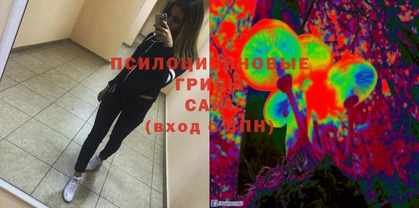 марки nbome Бородино
