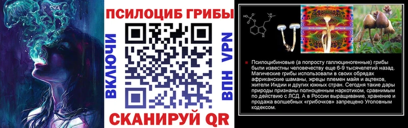 купить  сайты  Козловка  Псилоцибиновые грибы мицелий 